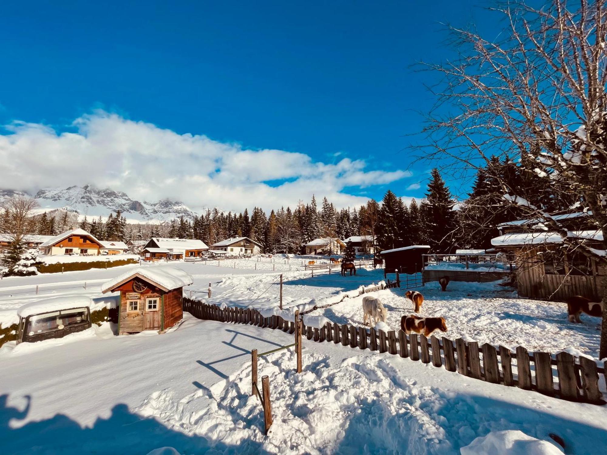 Pension Vorberghof- Bauernhofurlaub Ramsau am Dachstein Esterno foto