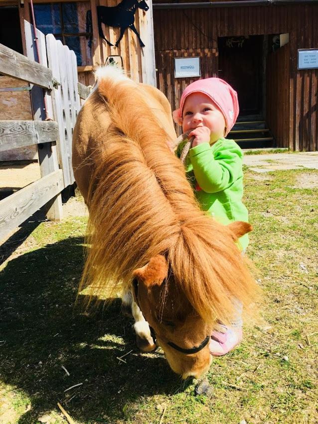 Pension Vorberghof- Bauernhofurlaub Ramsau am Dachstein Esterno foto